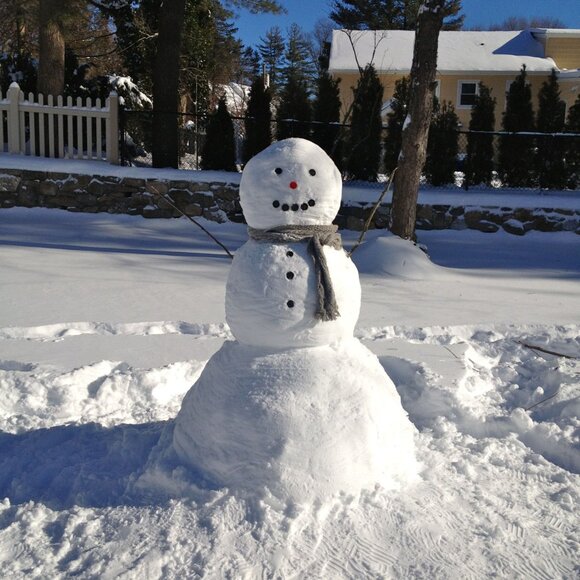 Meet your Posher, Jason Loaded - Picture 4 of 5